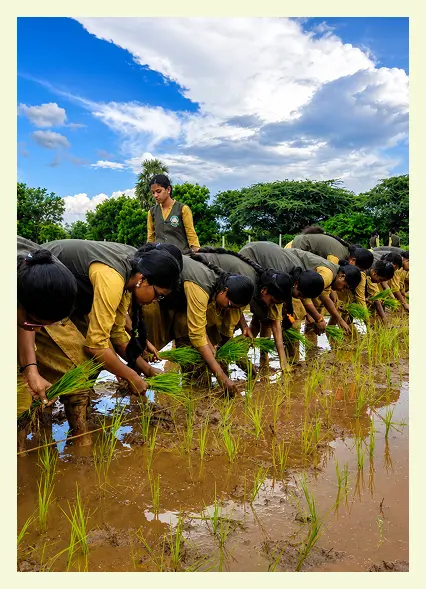 SRSIAT students learning practical agriculture